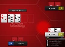 PokerTracker, Poker Players Lash Out at Bodog Going Anonymous