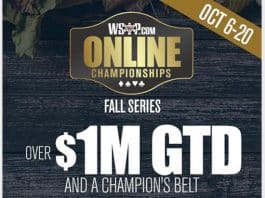 &#8217;49ersuited&#8217; Wins WSOP.com Fall Online Championships Main Event